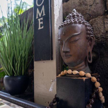 Unit 18 Maui Ohana Modern Studio Wailuku Extérieur photo